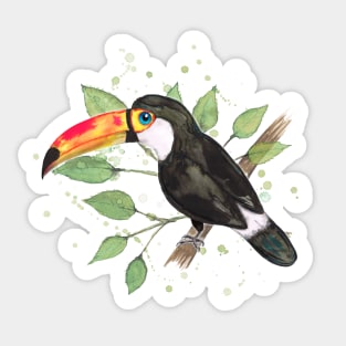 Toco toucan Sticker